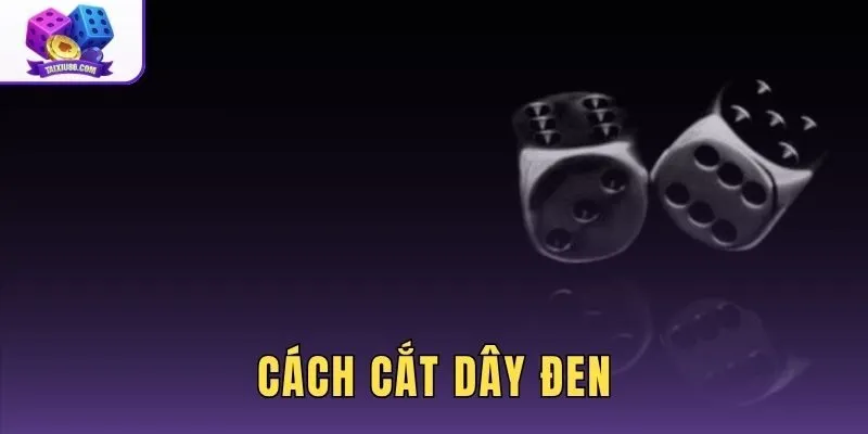 Cách Cắt Dây Đen - Quy Trình 3 Bước Dừng Chơi Chuẩn Xác